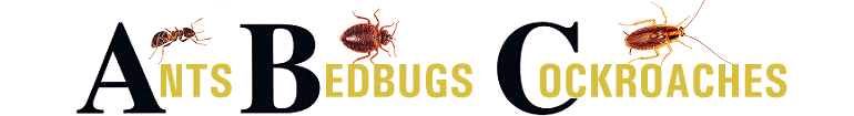 ABC Pest Control London